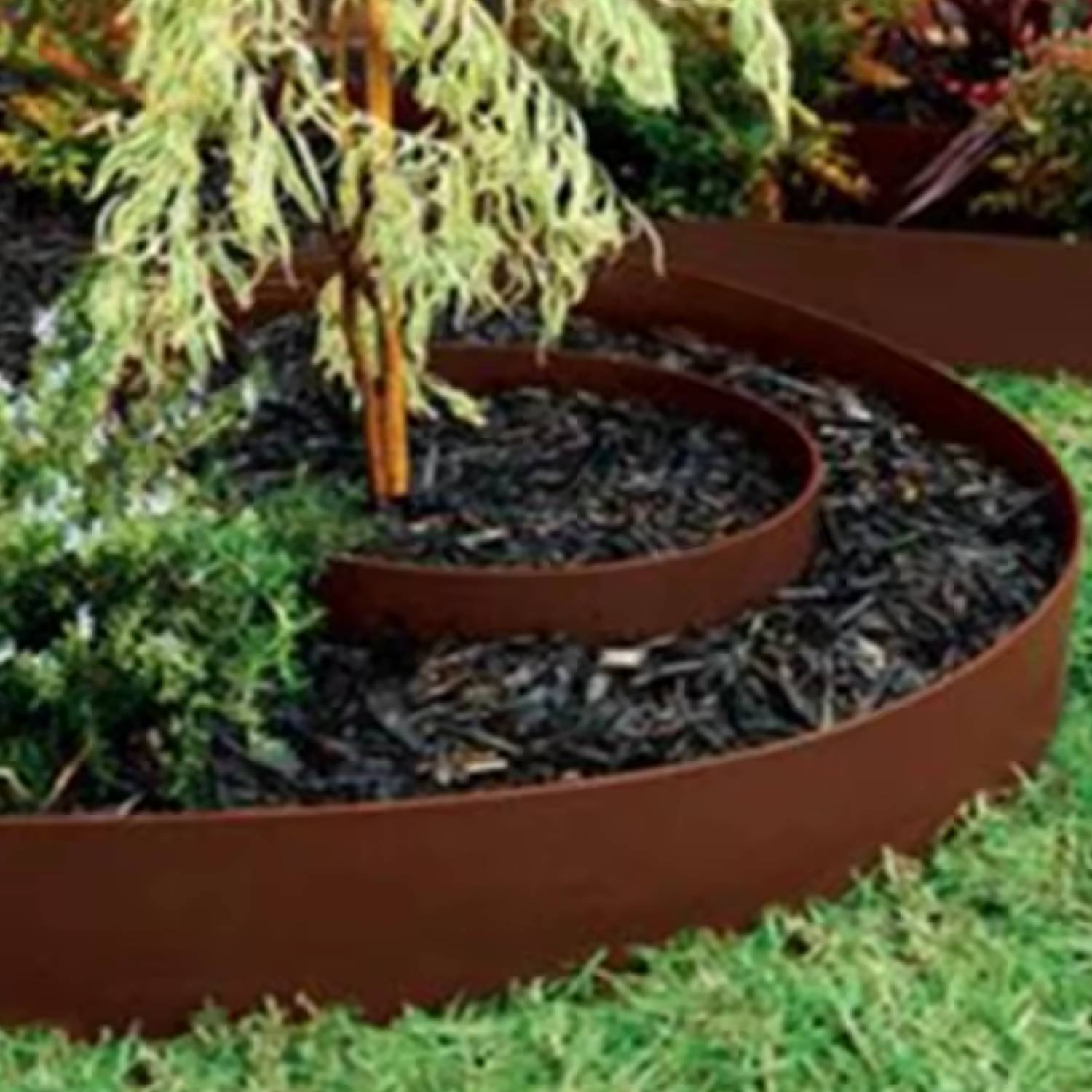 Pre-rusted corten steel lawn edging holding a garden bed line
